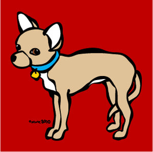 Little Chihuahua on Red