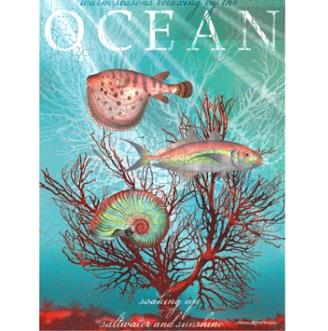 Ocean