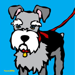 Schnauzer with Red Leash