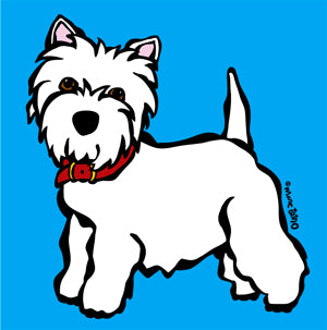 Westie on Blue