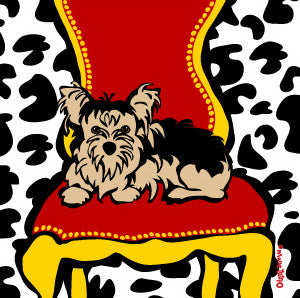 Yorkie