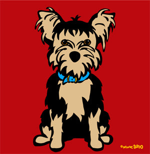 Yorkie on Red